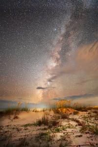 Backlit Sea Oats Dune $85 by Jack Rink