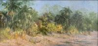 Cape San Blas by Judy Soprano