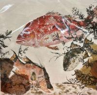 Reef Life $95 by Fred Fisher